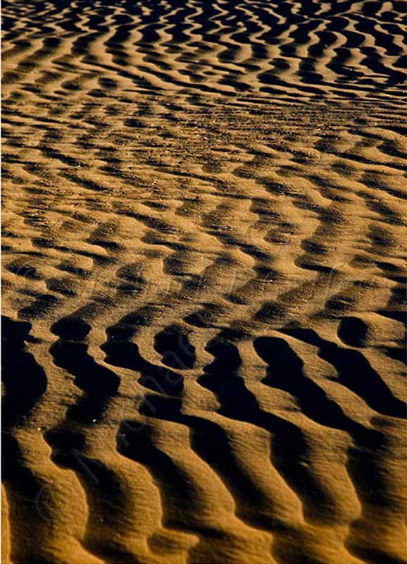 Death Valley NP Sand Dunes 1503